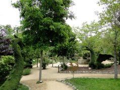 The Enchanted Forest General view of the Enchanted Forest of San MArtín de Valdeiglesias