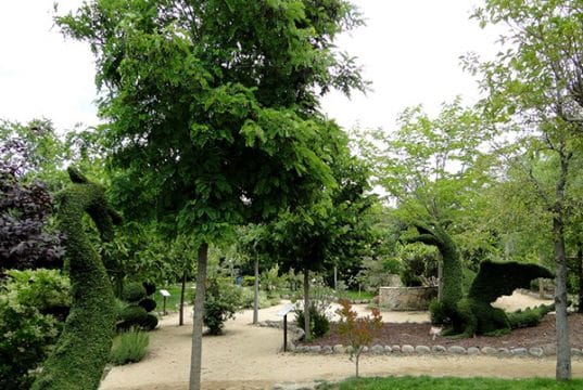 General view of the Enchanted Forest of San MArtín de Valdeiglesias